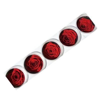 China Gift Wholesale Preserved China Roses 6-7cm Stabilized Eternity Flower for sale