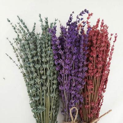 China Wedding Lavender Preserved Lavender Wholesale Decorative Stabilized Flower for sale