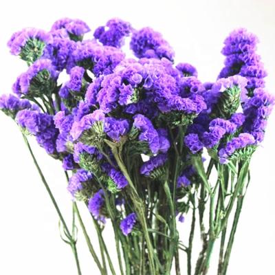 China Christmas Gift Everlasting Forget-Me-Not Flower DIY Home Decoration Dried Flower Bouquet for sale