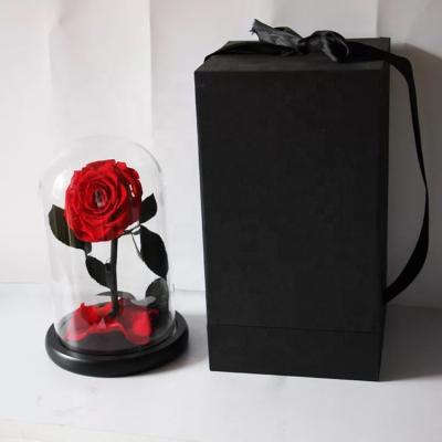 China Wedding Gift Natural Real Roses Preserved Flower The Little Prince Preserved Red Roses In Glass Dome With Gift Box for sale