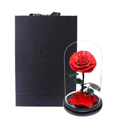 China Wedding Gift Wholesale Contact Real And Natural Preserved Flower Roses Forever In Glass Dome for sale