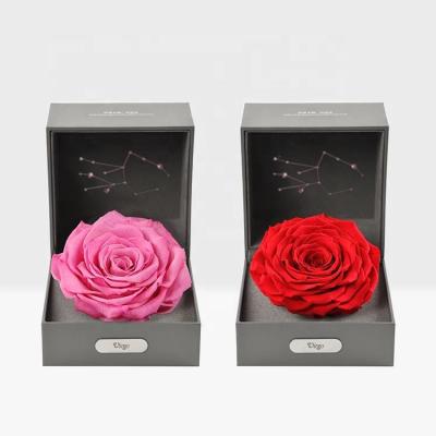 China Wedding Gift Christmas Gift 12 Constellations of Big Roses Natural Preserved Flower Head in Gift Box for sale