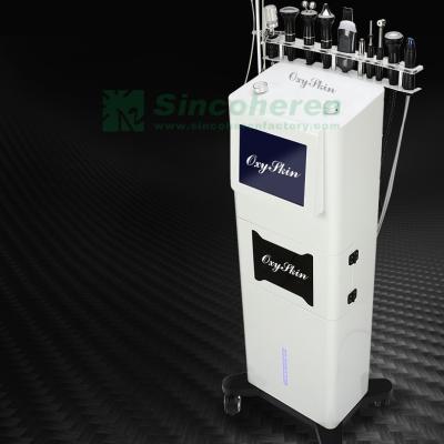 China Blood Vessels Removal 12 in 1 Oxygen Skin Microdermabrasion Skin Rejuvenation Facial Beauty Salon Equipment for sale