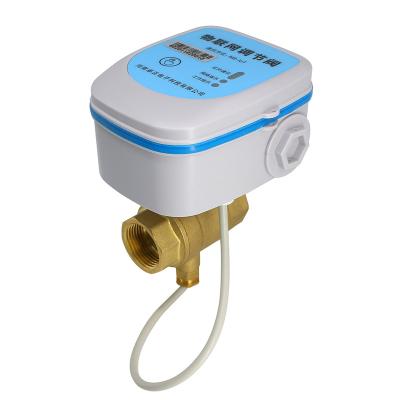 China Water Supplying 2023 Newest Wireless IoT LoRa LoRaWAN NB-IoT Valve Remote Open and Close for sale