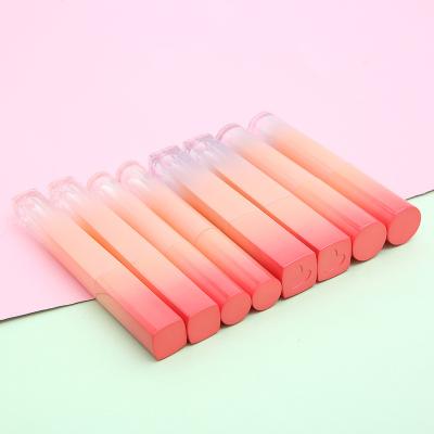 China Wholesale Empty Pink Gradiente Cosmetics Packaging Multishaped Lip Gloss Container Thin Liquid Lipstick Tube for sale