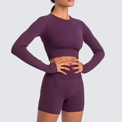 China Breathable Active Long Sleeve Crop Top Women Yoga Suit And Shorts Seamless Yoga Equipment Gym Wear Fitness Wear Set for sale