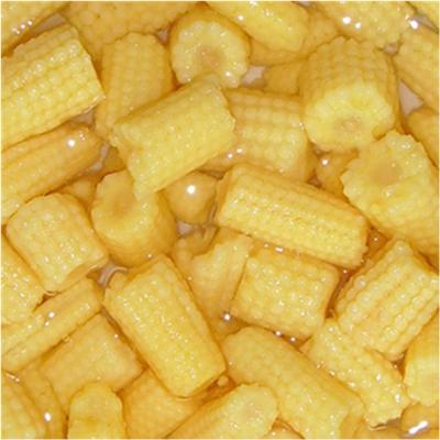 China Best Price Canned Good Taste Canned Yellow Baby Corn Brands for sale