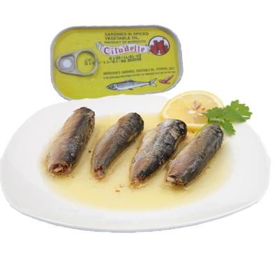 China Best Morocco fresh canned sardines in 125g can in oil for sale