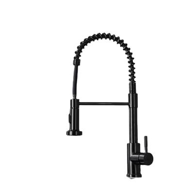 China Contemporary 2-way commercial kitchen faucet with flexible and durable hose for sale