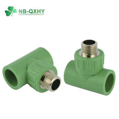 China PPR Pipe Fitting Male Thread Tee with Brass Equal and Round Head Code for sale