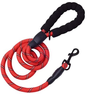 China Thoughtful Dog Leash Nylon Rope - Thoughtful Training Leads for Small Medium Large Dogs - 5/16 & 3/8 Inch &1/2 by 6 Feet for sale