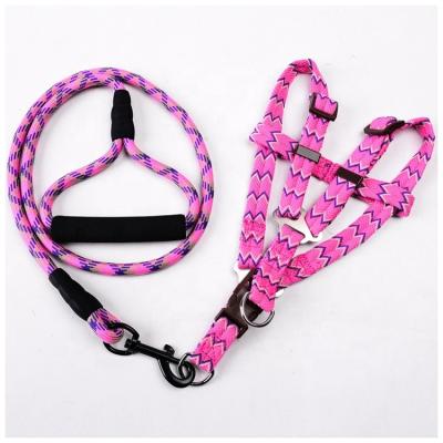 China Thoughtful Nylon Dog Leash Set With Soft Padded Handle For Walking Lead Training For Medium Large Small Dogs for sale