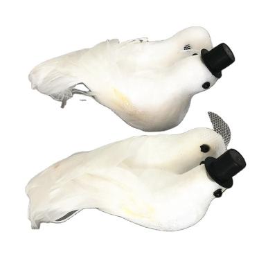 China FOAM white couple feather doves wedding decorations for sale