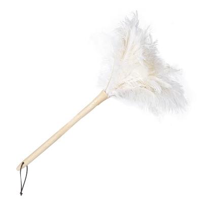 China 50cm cleaning wooden handle and eco-friendly reusable handheld white ostrich feather cloth for sale