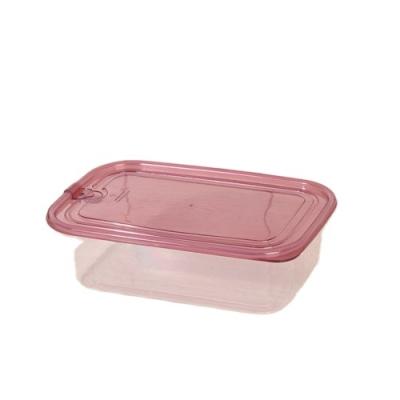 China Direct selling viable multi-color transparent storage box plastic storage box for sale