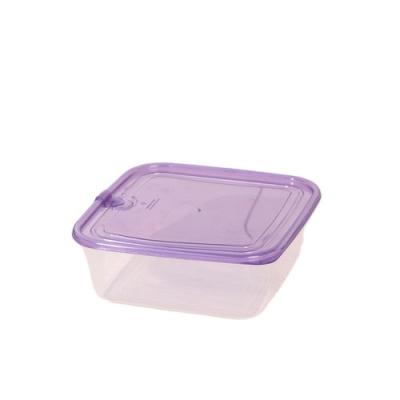 China Fruit Vegetable Viable Sushi Factory Supply Plastic Storage Box For Home for sale