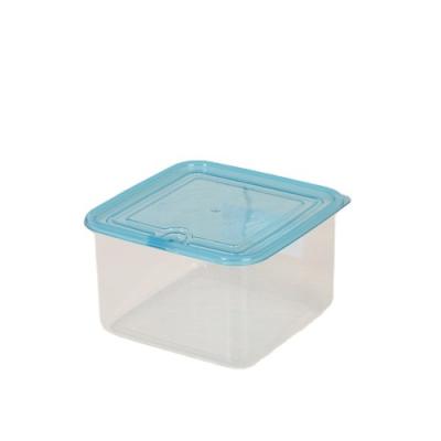 China New Product Kitchen Fruit Vegetable Viable Clear Plastic Storage Box for sale