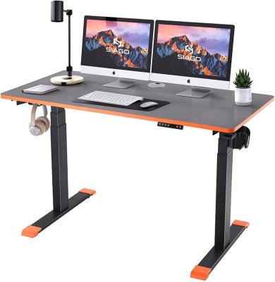 China Customization Office Furniture Height Adjustable Electric Lift Table Sit Stand Desk Single Motor Lift Desk Gas Lift Sit Stand Desk for sale