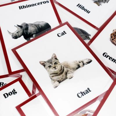 China paper & Custom Cognitive Cardboard Kids Montessori Animals Word Learning Flash Card for sale