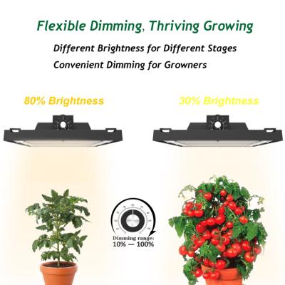 China Seed Starting TUBU ETL Listed Indoor Plant Growing Light LED Growing Light For Flowers for sale