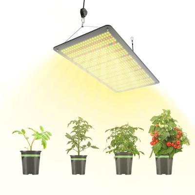 China Seed Starting TUBU 240W LED Grow Light High Waterproof Level Full Spectrum To Grow Light Board For Indoor Plants for sale