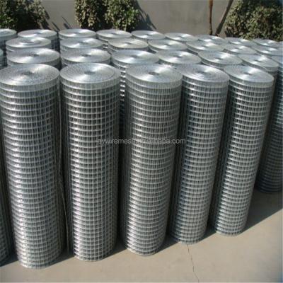 China Garden 304 316 3/4 Inch Stainless Steel Welded Wire Mesh Best Price Welded Wire Mesh Roll Welded Wire Mesh for sale