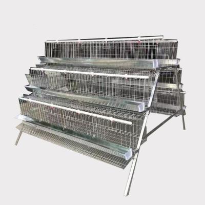 China Factory Direct Design Chicken Cage 3 Layer Chicken Cage Tires Laying Chicken Cage For Sale for sale