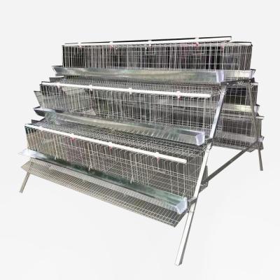 China Layer Chicken Ghana Chicken Farms Hens Chicken Cage Layer Cage For Eggs for sale