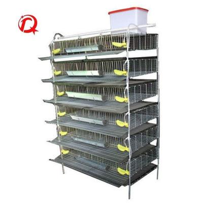 China Commercial Chicken Farm Wholesale H Train 5 Tire Automatic Quail Breeding Cages With Long Feeder Bowl For Egg Production for sale