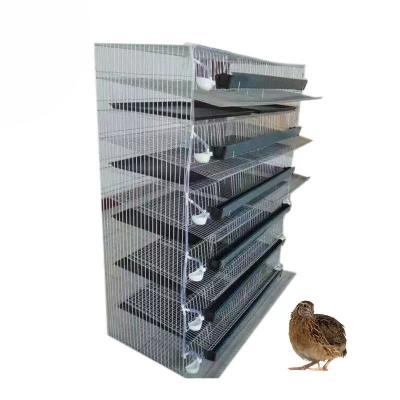 China Commercial Chicken Farm Poultry Farm Equipment H Type Selling Best Quail Cage For Sale for sale