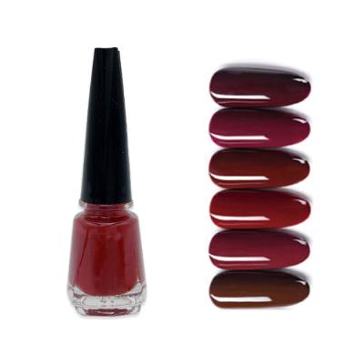 China Custom Quick Dry Nail Polish OEM&ODM Manufacturer Kids Nail Polish Private Label for sale