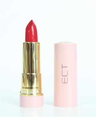 China Lips Wholesale Private Label Long Lasting Matte Lipstick From OEM Factory for sale