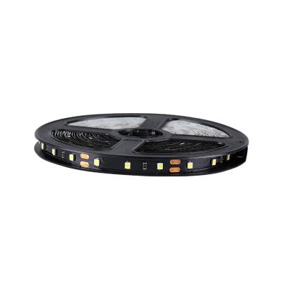 China LANDSCAPE Fine Quality Dc12v 24v Waterproof Flexible Led Strip Smd3528 for sale