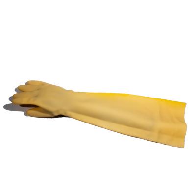 China Portable Long Type - Comfortable Yellow Latex Gloves for sale