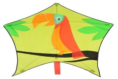 China Colorful Special Kites 100*120CM With 30m String Line Fiberglass Frame for sale