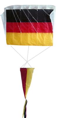 China Easy Assembled Miniature Kites 75*50CM 2-5bft Swing Range With 30m String Line for sale