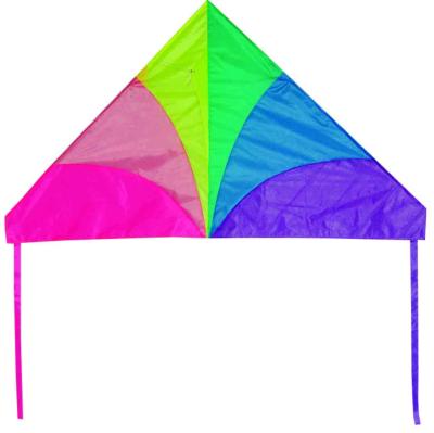 China Custom Size Delta Wing Kite Geometrical Design 2-5bft Swing Range for sale