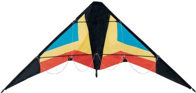 China Special Pattern Polyester Kite , Easy Assembled Delta Wing Kite 120*60CM for sale