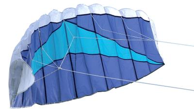 China Nylon Material Beach Kites Various Size 120*55cm 2-5bft Swing Range for sale