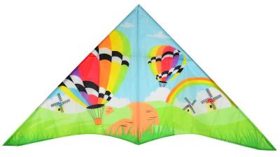 China Autumn Sky Delta Kites Polyester Material 120~180cm Wing Span For Kids / Adult for sale