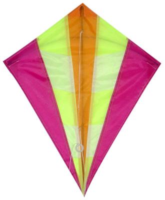 China Simple Design Sky Diamond Kite , Stylish Type Nylon Stunt Kite For Beginners for sale