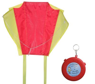 China Colorized Small Kite Easy Carrying Single Line Type 2-5bft Swing Range for sale