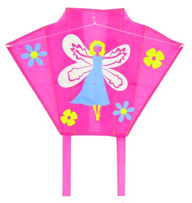 China Fashion Style Outdoor Kite , Tabby Material Kids Flying Kites Common Size for sale