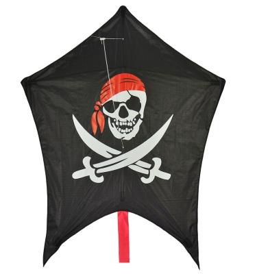 China Pirate Pattern Special  Flying Kites Convenient Carry Durable OEM ODM Acceptable for sale