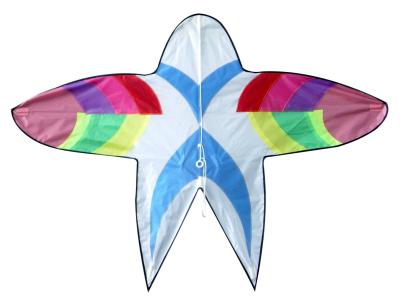 China Polyester Material Autumn Kite 120~180cm Wing Span For Kids Adults Playing for sale