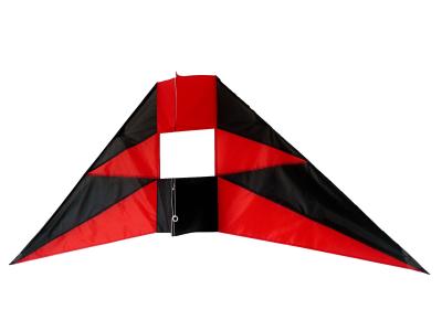 China 2bft Fiberglass Frame Foldable 183*81cm 3D Kite for sale