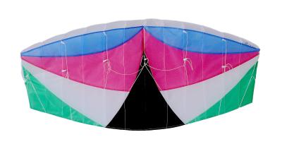 China Easy Carry Nylon Material Stunt Kite , Environmental Friendly Beach Kites Durable for sale