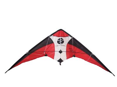 China 5bft Swing Nylon 120x60cm Custom Printed Kites for sale