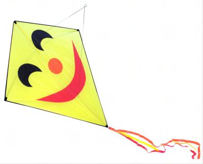 China Fiberglass Frame Diamond Stunt Kite Kid Use With 30m String Line 124*152cm for sale