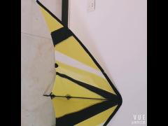 Delta stunt  kite with dual  line